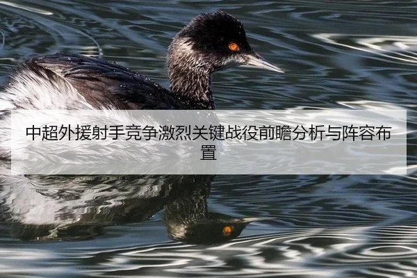中超外援射手竞争激烈关键战役前瞻分析与阵容布置